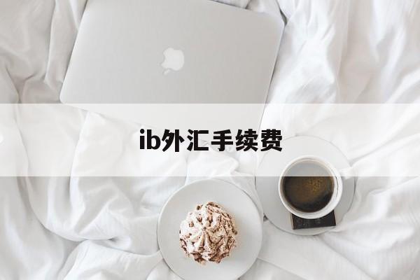 ib外汇手续费(外汇手续费是多少钱啊)